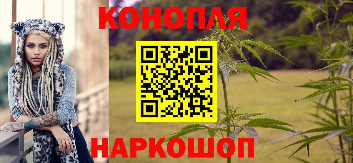 МАРИХУАНА конопля Пугачёв